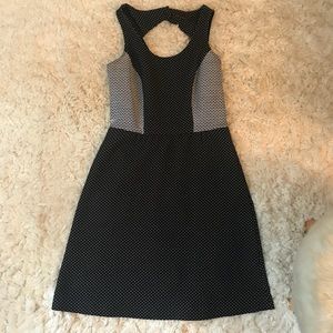 The Limited black and white polka dot dress